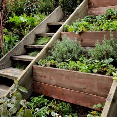 Terraced Wooden Raised Beds