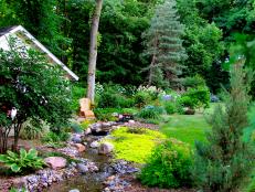 Landscaping With Calming Stream