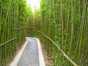 Robert Felker Expo 11 China Bamboo Walkway