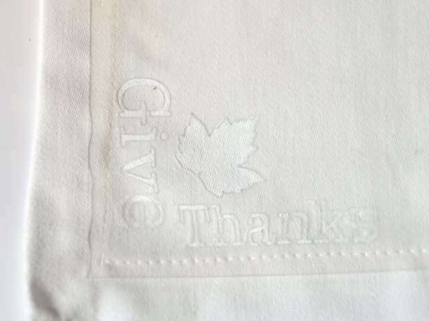 Stenciled Napkins 