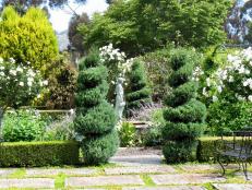 Formal Garden With Trees and Flowers 