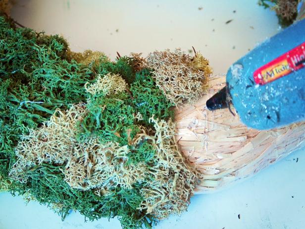 Working in small sections, apply hot glue to wreath and press reindeer moss into glue.
