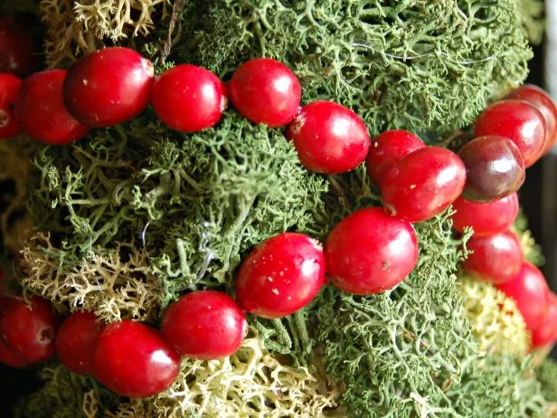 Lengths of cranberries can be wrapped in either a spiral or crisscross pattern.