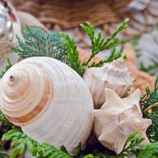 Coastal Christmas Seashell Centerpiece 