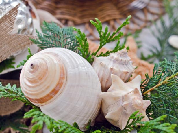 Seashells In Coastal Christmas Centerpiece