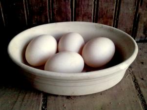 Original_Photog-Lisa-Steele-duck-eggs-in-bowl_4x3