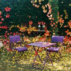 Beautiful Backyard Courtyard With Purple Furniture