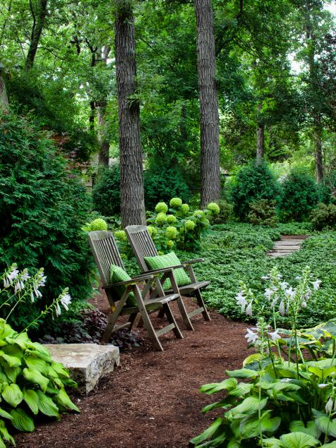 Full Yard and ADU Landscaping Create a Family-Friendly Retreat