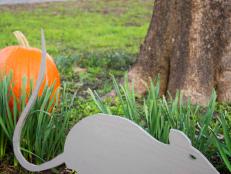 Wooden rat and pumpkins in front yard