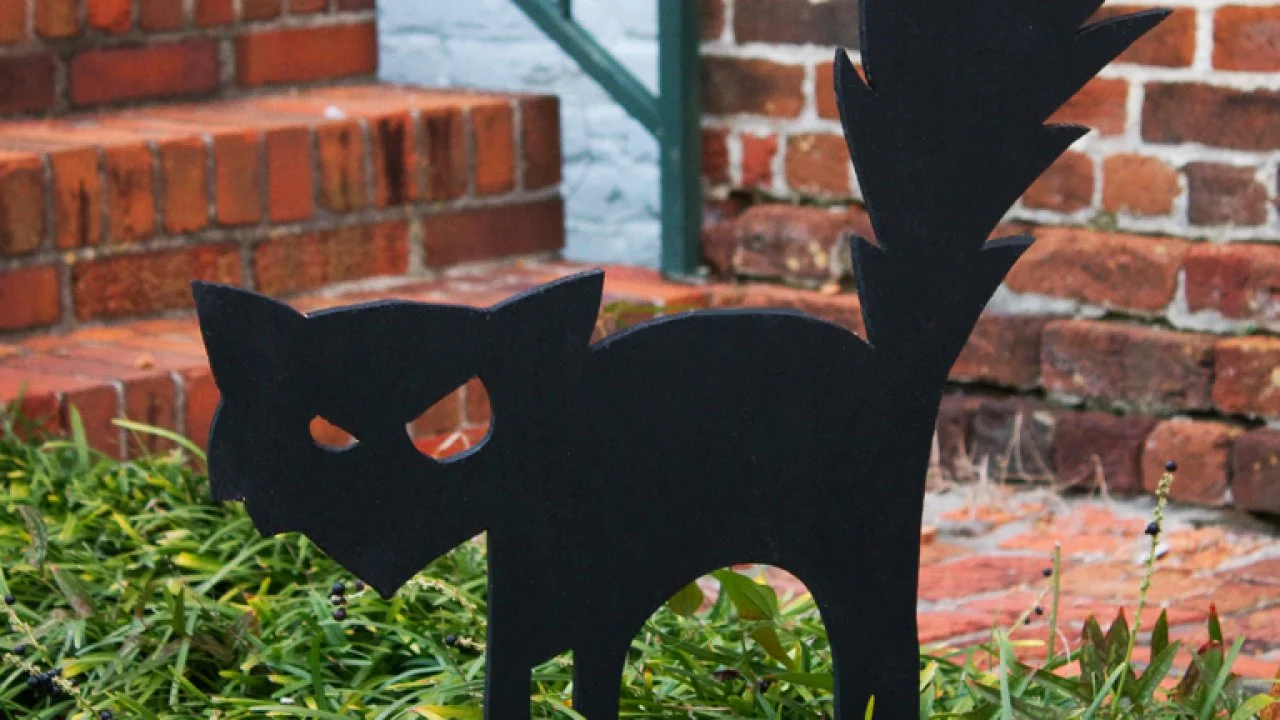 Black Cat Outdoor Halloween Decoration | HGTV