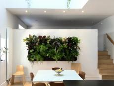Vertical Garden in Modern White Dining Room