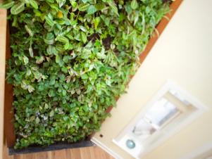 Vertical Planter on Dining Room Wall