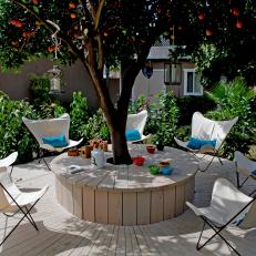 Round Deck With Tree and Canvas Chairs