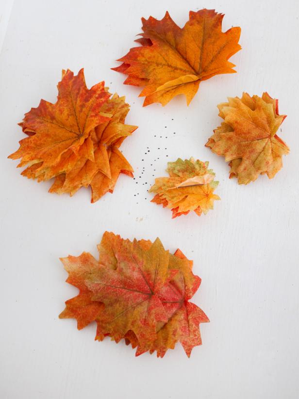 Collection of colorful fall leaves