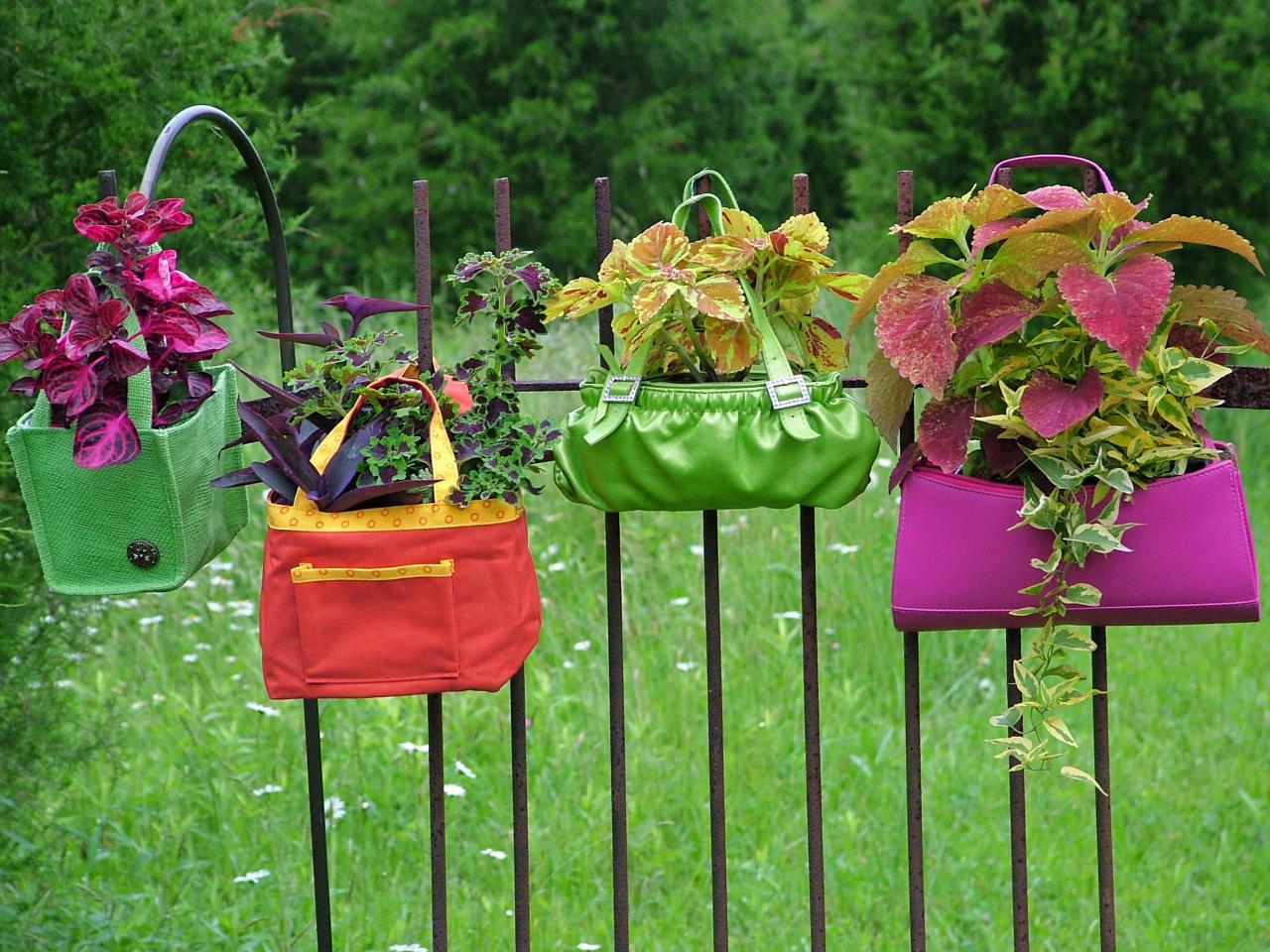 Carretillas de flores  Recycled garden, Garden containers, Patio garden  ideas on a budget