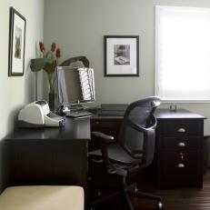 Functional and Transitional Home Office