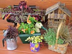 Assortment of Garden Containers