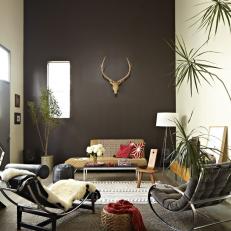 Eclectic Living Room with Chocolate Accent Wall