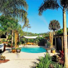 Tropical Backyard With Pool and Palm Trees
