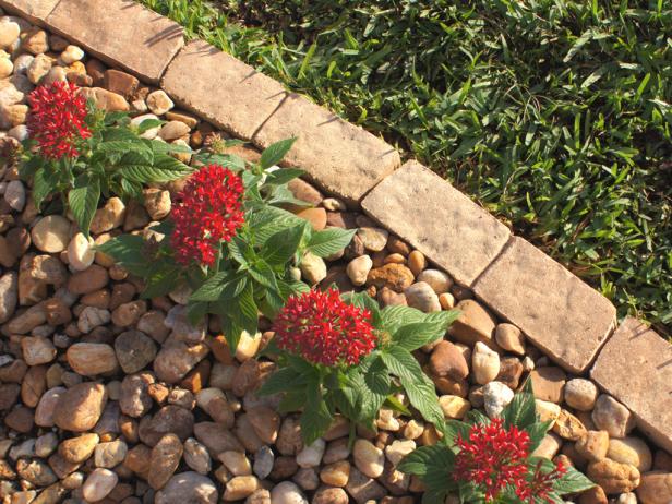 How To Install Garden Edging, Best Way To Lay Pavers For Garden Edging