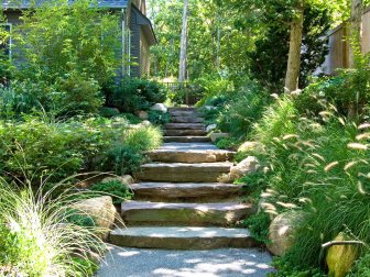 Stone Stairs with Ornamental Grasses