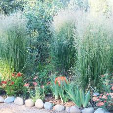 Bed of Ornamental Grasses