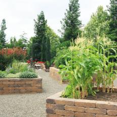 Brick Container Gardens With Herbs and Corn