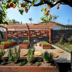Backyard With Raised Garden and Pergola