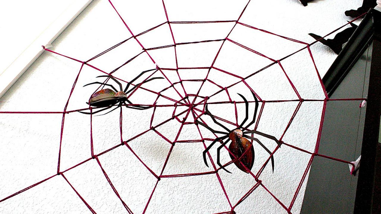 Why Spiders Put Designs in Their Webs