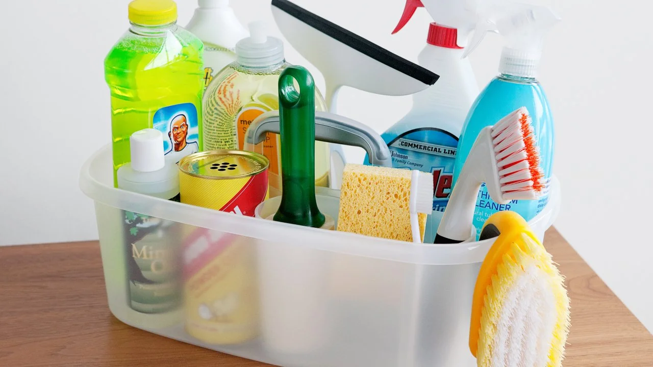 Essential Cleaning Supplies for Sabrina Soto HGTV