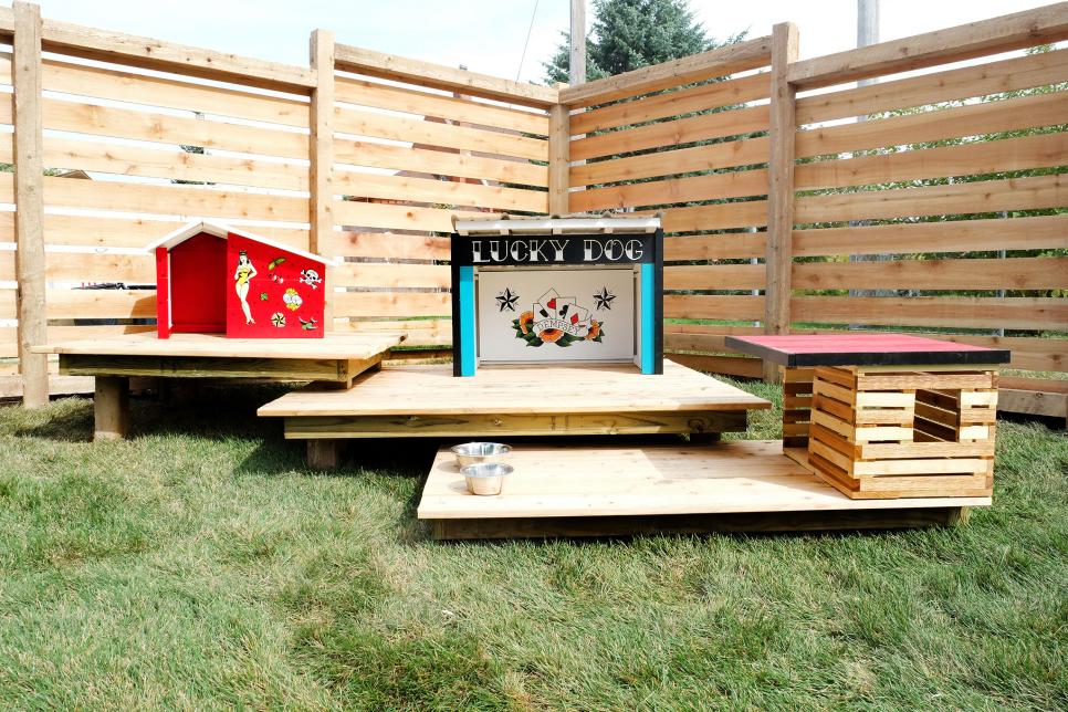 small backyard for dogs