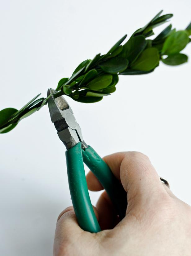 Use wire cutters to clip sprigs approximately 2-4 inches long from preserved boxwood branches.