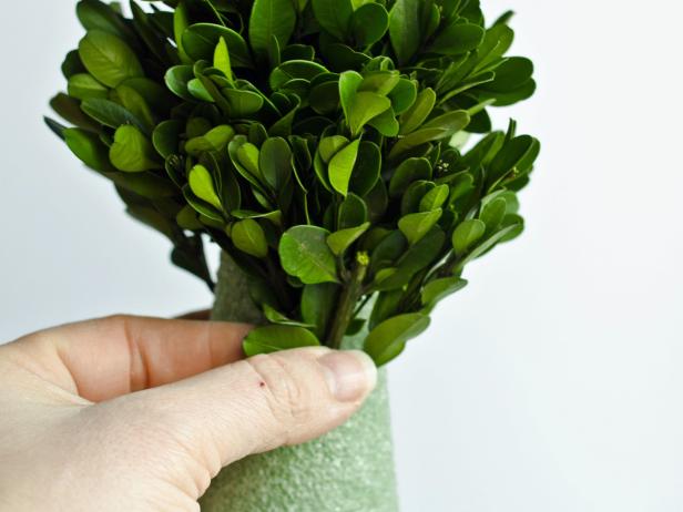 How to Make Boxwood Christmas Topiaries | HGTV