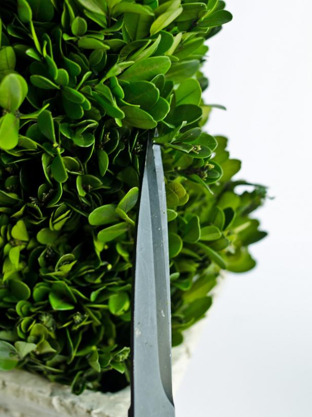 Add individual boxwood sprigs to any gaps, if necessary. Add a dab of hot glue to the bottom of the form to secure it in the pot if needed. Trim leaves with scissors to groom the topiary.