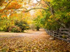 Mountain Hiking Trail with Vibrant Fall Foliage