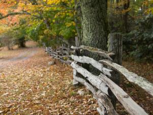 Original_Fall-Outdoor-Entertaining-Wooden-Fence_h