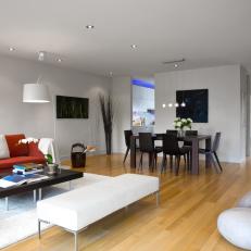 Contemporary Living/Dining Area With Retro-Modern Furnishings