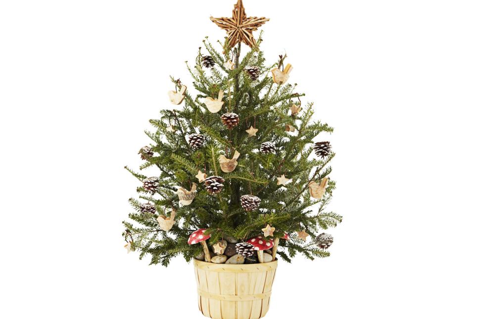 Christmas Tree Decorating Ideas | HGTV
