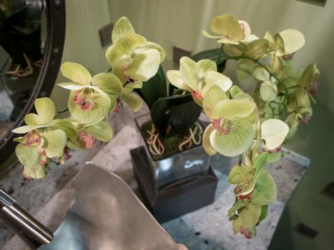 8 Ways to Kill Your Orchid