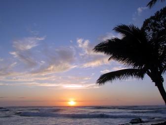 HHALF204H_Hawaii-Life-beach-sunset-palms-104490-238932_h