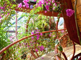 Tropical Walkway With Pink Flowers