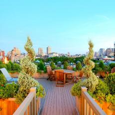 Urban Rooftop Deck With Lush Landscaping