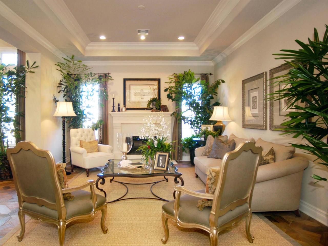 Elegant Living Room with Tray Ceiling | HGTV