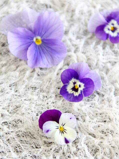 Pansy Rainbow Maker I February Birth Flower Viola Suncatcher