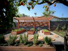 Organic Garden With Raised Beds and Wall-Mounted Flower Planters