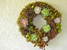 CI_Kim-Foren-Geranium-Lake-Succulent-Easter-Arrangement-Wreath-Beauty_s4x3
