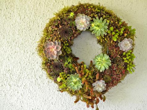 Make a Living Wreath for Spring