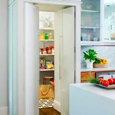 Contemporary Kitchen With Modern Walk-in Pantry