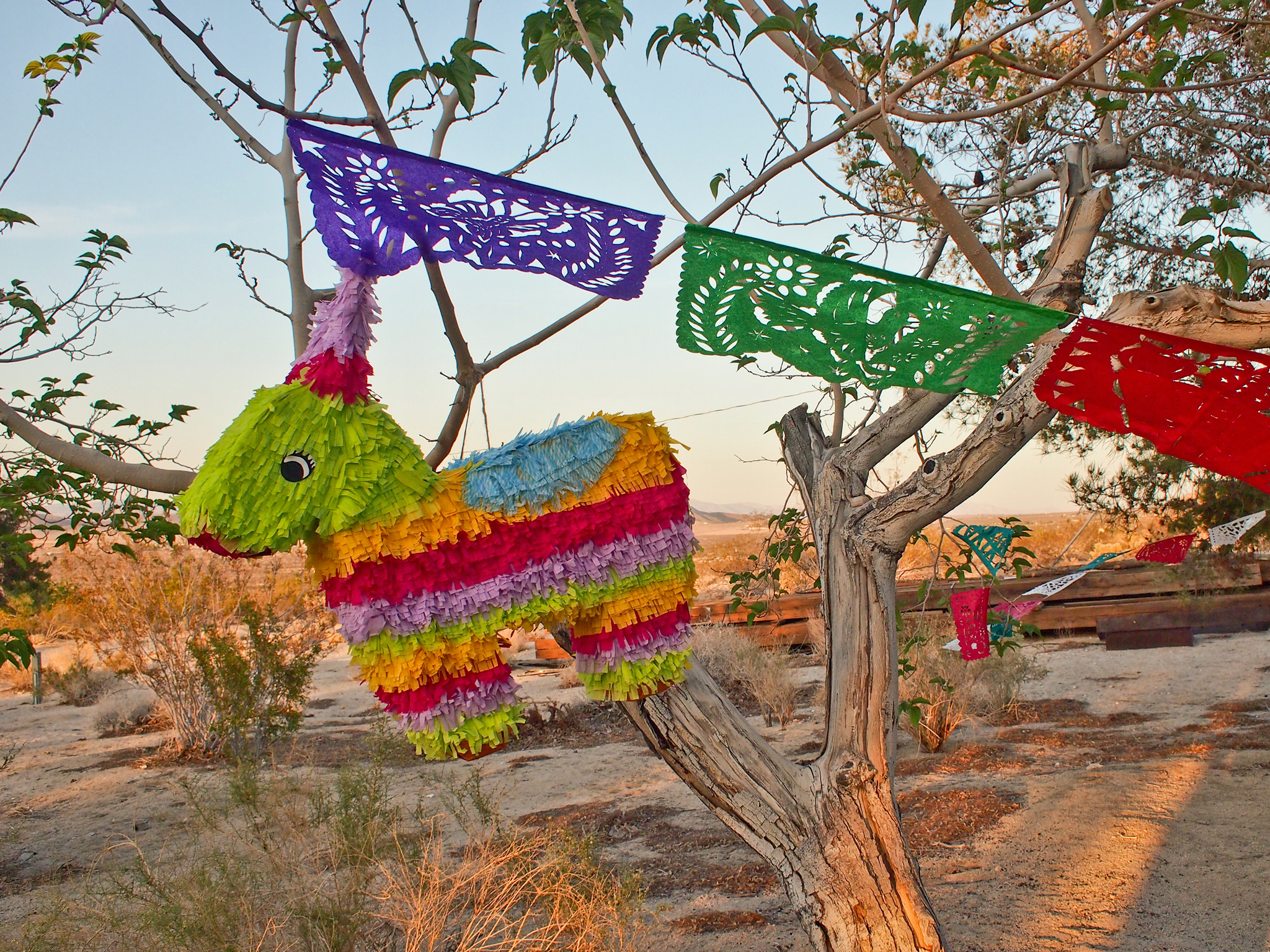 pinata swing and miss pinata swing and miss