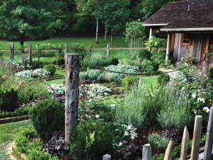 Kitchen Garden